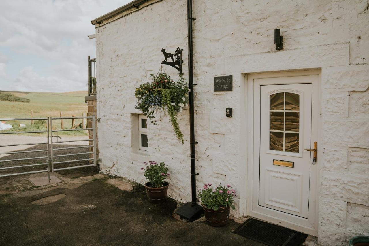 White Side Cottage Haltwhistle Eksteriør bilde